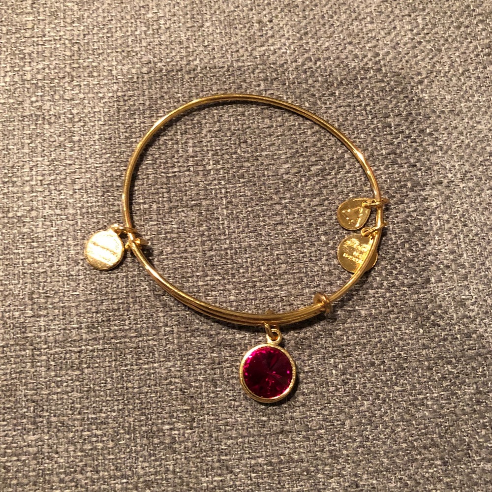 Alex & Ani January Birthstone Bracelet